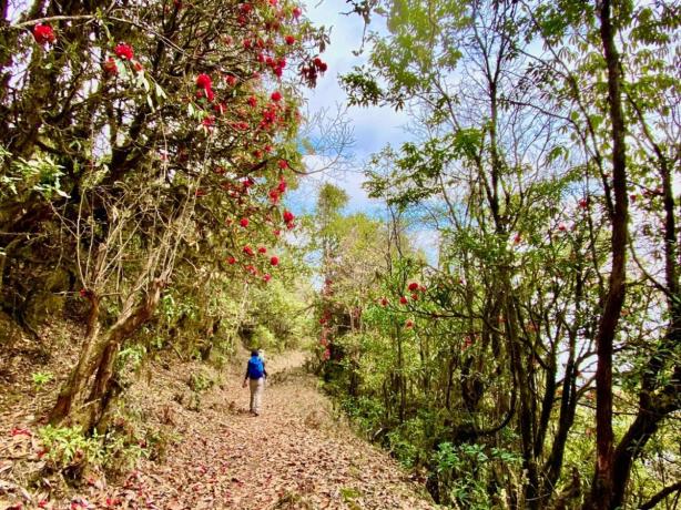 How To Walk the Trans Bhutan Trail