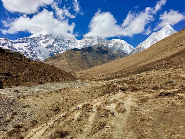 Jomolhari Laya Trek